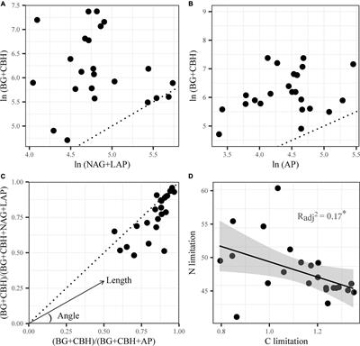 Extracellular enzyme stoichiometry reveals carbon and nitrogen limitations closely linked to bacterial communities in China’s largest saline lake